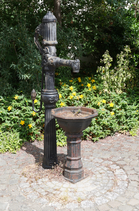 Wasserpumpe