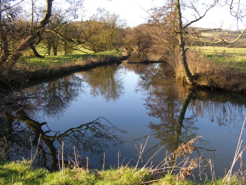 River Amber at Buckland Hollow