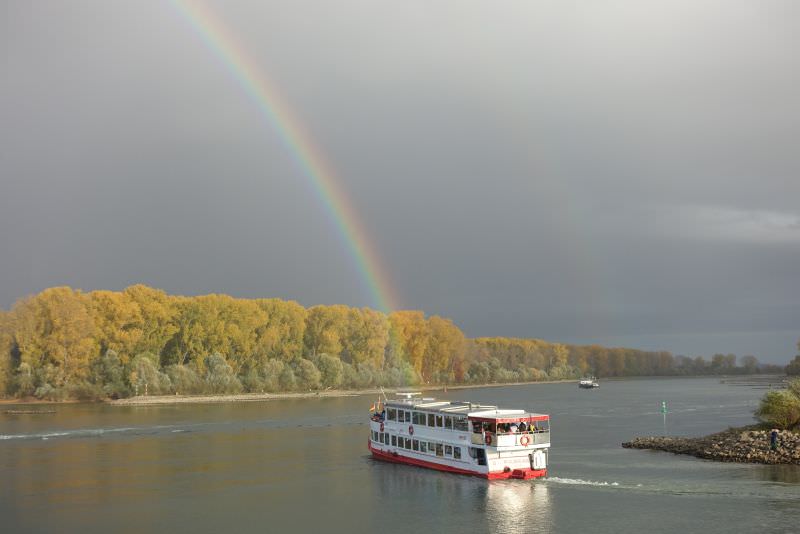 MS Pfälzerland