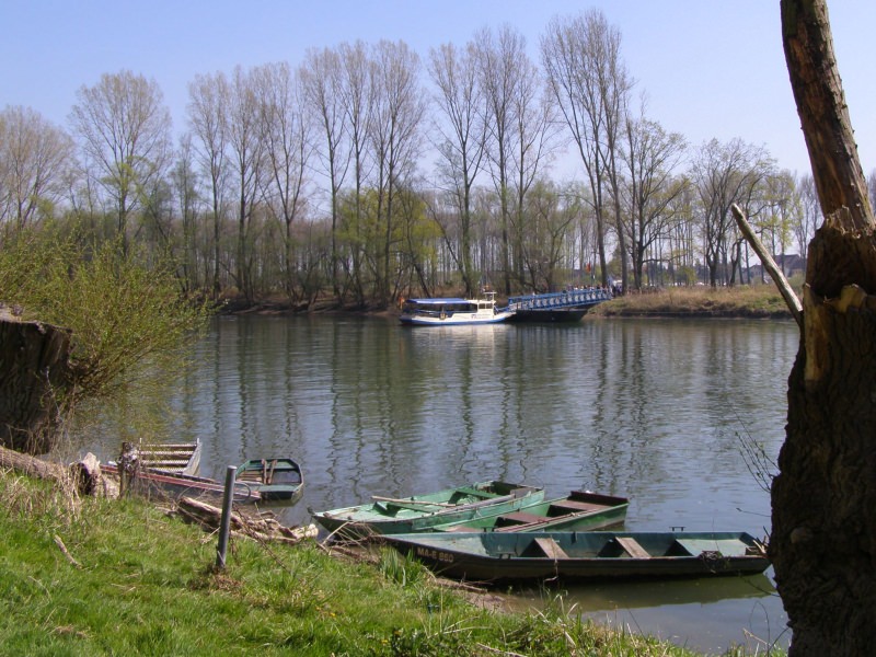 Old Rhine Harbour 