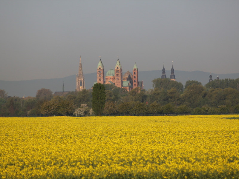 Speyer Skyline 