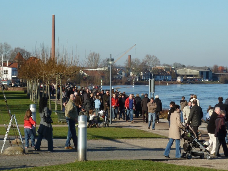 Sunday at the River Rhine